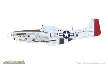 MIGHTY EIGHTH: 65th Fighter Wing