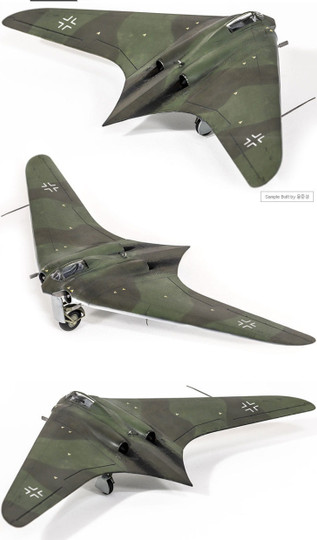 Horten Ho 229 'Wunderwaffe'