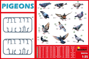 PIGEONS