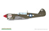 P-40N Warhawk
