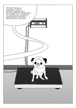 Life Goes On Near Kotka Morgue