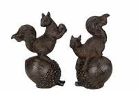 Orava tammenterholla 