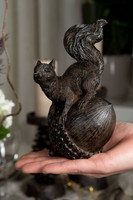 Orava tammenterholla 