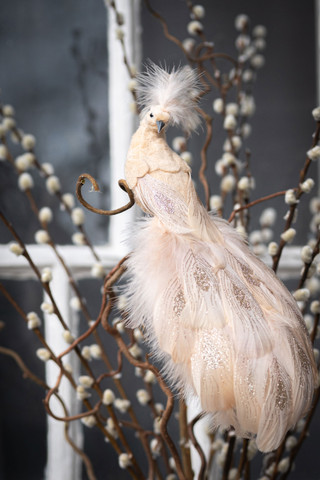 Riikinkukko klipsulla