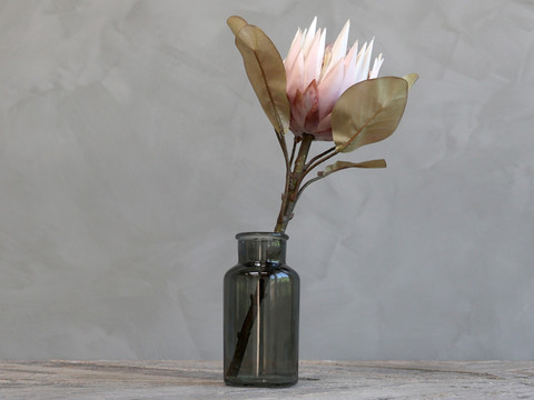  koristekukka Protea 66 cm