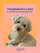 Lue, laske tai pelaa Lumin kanssa