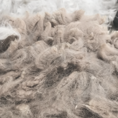 Alpakan II-laatuinen raakavilla, 100 g