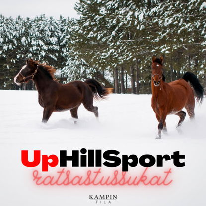 UphillSport Winter Course Ratsastussukka merinovillaa