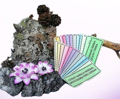 Setti; Kehonosa- + Liike-riimikortit