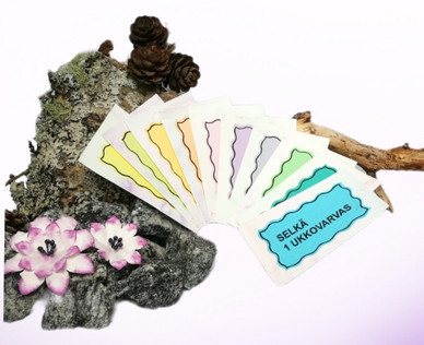 Kehonosa - kortit (vaikea 5-7 v)