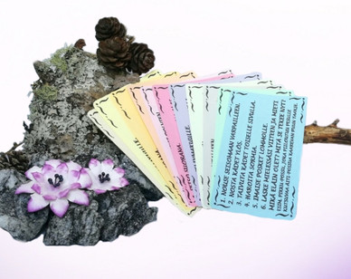 Hassut eläimet - liikuntakortit