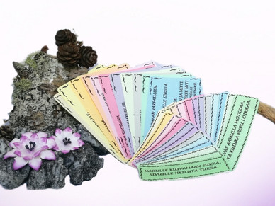 Setti; Kehonosa- + Liike-riimikortit + Hassut eläimet-liikuntakortit