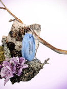 Onko totta, että - tehtävät avainrenkaassa