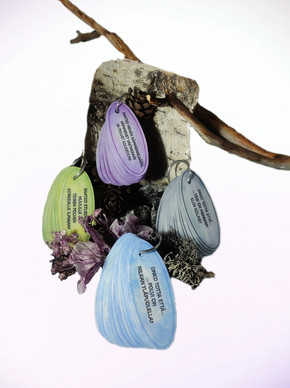 Setti; Tempputehtävät & Onko totta, että - tehtävät avainrenkaassa