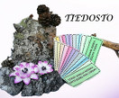 TIEDOSTOSETTI; Kehonosa- + Liike-riimikortit