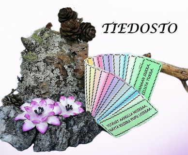 TIEDOSTOSETTI; Kehonosa- + Liike-riimikortit