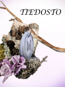 TIEDOSTO; Onko totta että - tehtävät (helppo 3-4 v.)