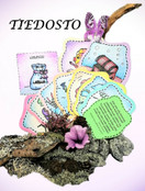 TIEDOSTO; Veden elämää- lorukortit