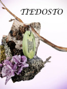 TIEDOSTO; Tempputehtävät (helppo 3-4 v.)