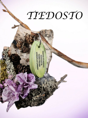 TIEDOSTO; Tempputehtävät (helppo 3-4 v.)