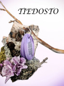 TIEDOSTO; Tempputehtävät (vaikea 4-6 v.)
