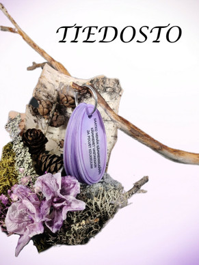 TIEDOSTO; Tempputehtävät (vaikea 4-6 v.)