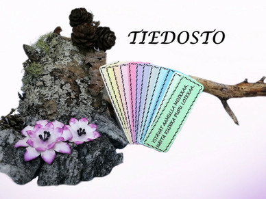 TIEDOSTO; Liike-riimikortit