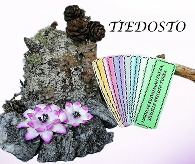 TIEDOSTO; Kehonosa-riimikortit