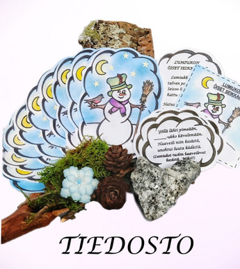 TIEDOSTO; Lumiukon öiset seikkailut - kuvitetut lorukortit