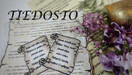 TIEDOSTO; Taikametsän joulukalenteri