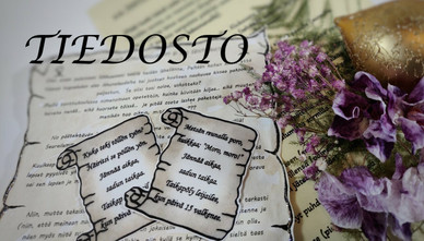 TIEDOSTO; Taikametsän joulukalenteri