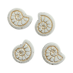 Akryylihelmi simpukka luonnonvalkoinen / kulta 18,5 x 16 mm (6 kpl)