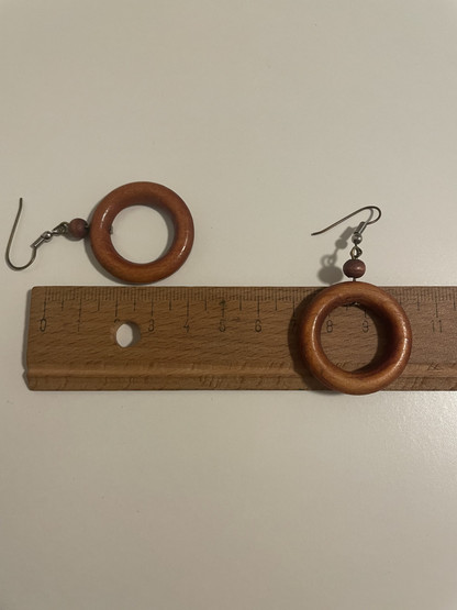 E291 Earrings