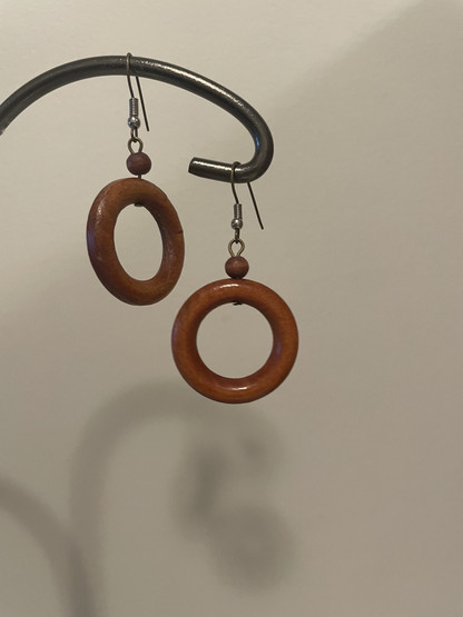 E291 Earrings