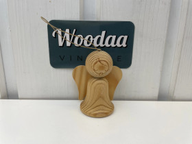 C165 Aarikkas Pikkuenkeli