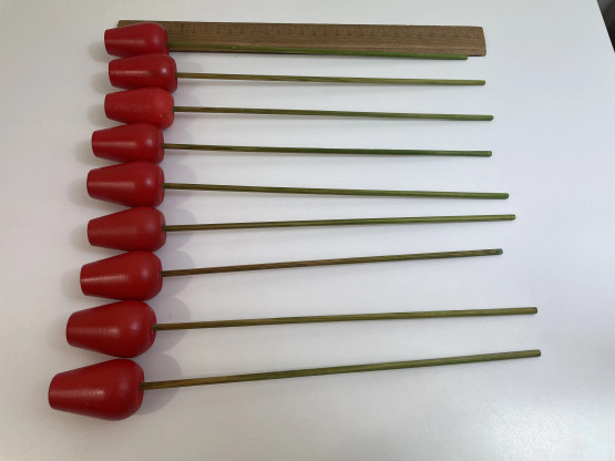F340 Punaiset tulppaanit 9kpl
