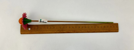 F349 Johan Puu flowers