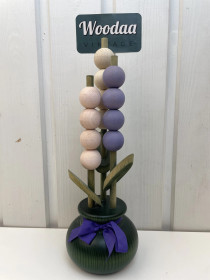 F355 Aarikkas Hyasintti