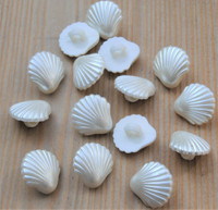 Valkoinen simpukkanappi, 15 mm