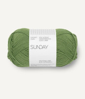 Sandnes Garn SUNDAY, Vineyard green 8753