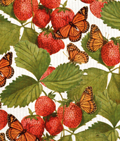 Sköna Ting - Tiskirätti Strawberry