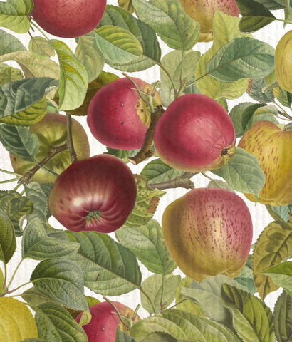 Sköna Ting - Disktrasa Apple