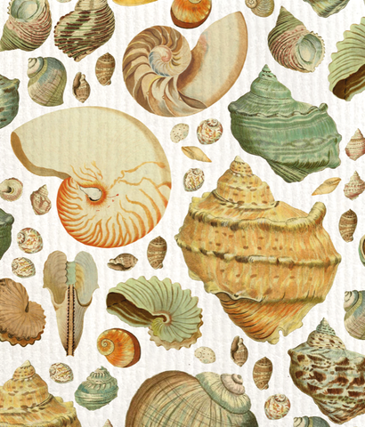 Sköna Ting - Disktrasa Seaside