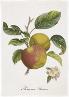 Sköna Ting - Keittiöpyyhe Apple