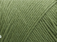 Filcolana Arwetta classic, 243 Basswood Green