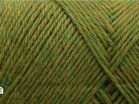 Arwetta classic, 809 Avokado