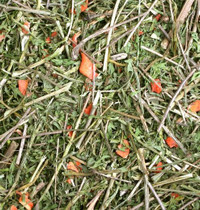 JR Farm yrtti, Porkkana yrtti 100g