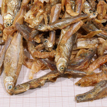 JBL PRoterra PESCARUS 250ml/36g