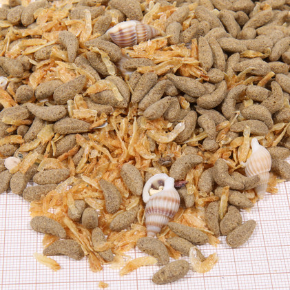 JBL Proterra MOLLUSCUS 1000ml/250g