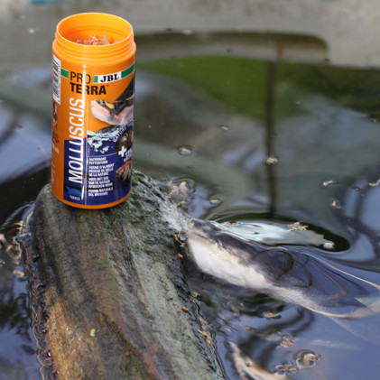 JBL Proterra MOLLUSCUS 1000ml/250g